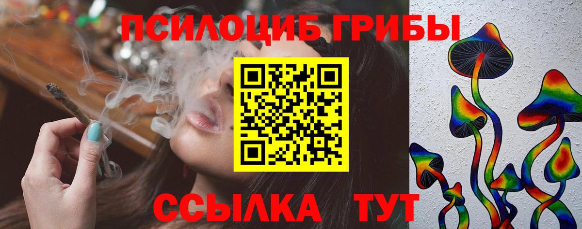 Галлюциногенные грибы мухоморы Бердск